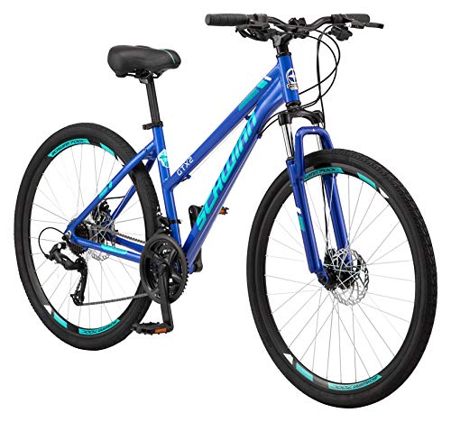 レア 3G BIKES Daytona 3G Daytona- And My Bicycle Epiphany | Rat Rod Bikes Bicycle Forum